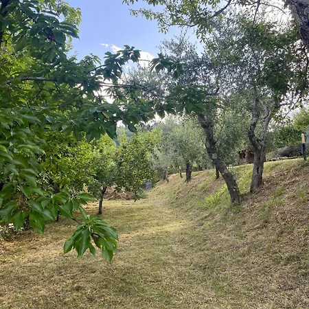 In Ancient Historic Near Florence Daire Rufina