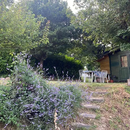 In Ancient Historic Near Florence Rufina