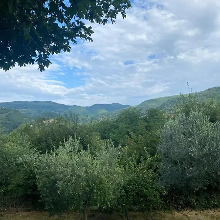 Daire In Ancient Historic Near Florence
